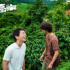 《一点就到家》：不动声色的乡村变迁与掠动人心的青春奋斗 | 名家