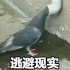 社畜必看！成为老板最喜欢的员工只需掌握这一条