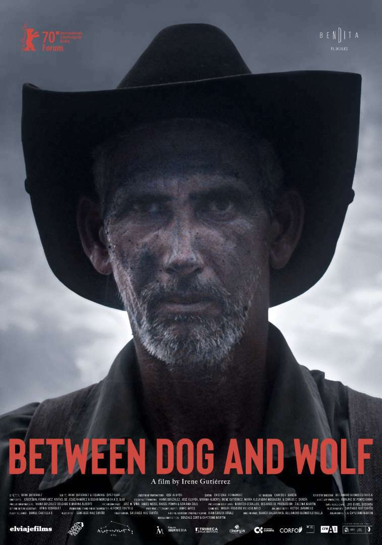 电影《犬与狼之间 Between Dog and Wolf》海报
