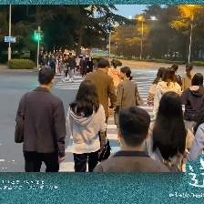 送你一朵小紅花