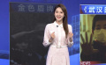 以光影致敬人民警察 與《武漢日夜》主創(chuàng)一起感受人間真情