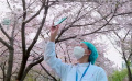 对话《武汉日夜》导演曹金玲 王宝强等众星为河北抗疫加油
