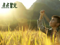 点点星光