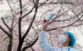 北達(dá)內(nèi)蒙古南抵海南 西起新疆東至浙江 最強(qiáng)觀影團(tuán)這樣打造