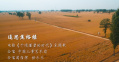 《千顷澄碧的时代》主题曲MV《追思焦裕禄》