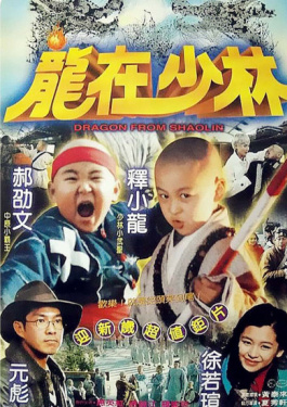 龙在少林