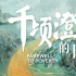 中国日记 | 半个多世纪，兰考发生着怎样的变化