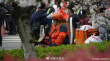 網(wǎng)友偶遇賈玲武漢大學拍戲 飾演志愿者造型接地氣