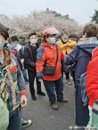 网友偶遇贾玲武汉大学拍戏 饰演志愿者造型接地气