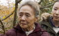 全世界孩子的哭声都是一样的 《又见奈良》超越国籍的母爱