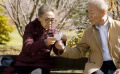 不止解剖残酷 也要留下悲悯 《又见奈良》寻途中的成长与希望