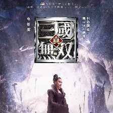 真·三國(guó)無(wú)雙