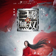 真·三國(guó)無(wú)雙