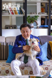 狗果定理