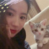 人美猫萌！刘亦菲晒自拍 与小奶猫合照画面有爱