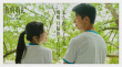 《你的婚礼》票房近4亿领跑五一档 告白曲MV曝光