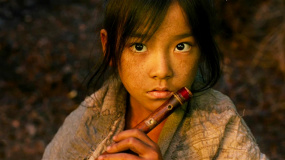 传递电影要素兼备独特性 英译片名如何做到“信达雅”？