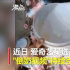 爱奇艺就“倒奶视频”道歉 关《青你3》助力通道