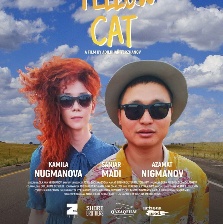 黄猫
