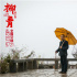 高山仰止，心向往之——傳記影片《柳青》觀后感