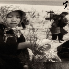歲月在這兒