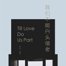 我們不能白頭偕老