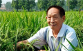 “致敬！人民的院士”融媒體直播舉辦 金雞海報(bào)設(shè)計(jì)大賽啟動(dòng)