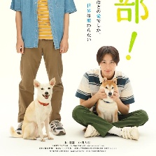 犬部！