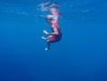 海边最后的夏天