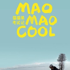 貓貓果考試記