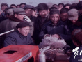 纪录电影《岁月在这儿》热映 曾荣获金鸡奖提名
