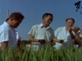 纪录电影《岁月在这儿》热映 曾荣获金鸡奖提名