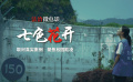 最佳剪輯獎：《七色花開》