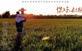 你好，杜鵑
