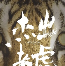 杰出老虎