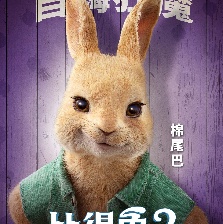 比得兔2：逃跑計(jì)劃