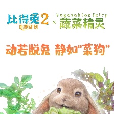 比得兔2：逃跑計(jì)劃