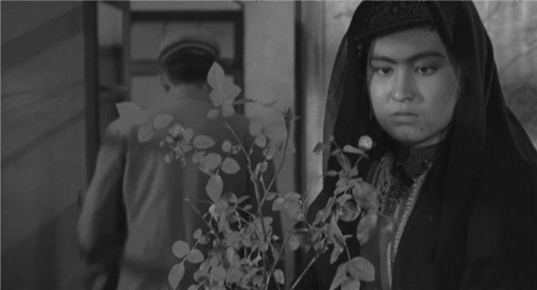 花儿为什么这样红 《冰山上的来客》“冰山上的爱情”成经典