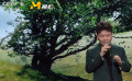 純純的愛戀！常石磊演唱《山楂樹之戀》主題曲