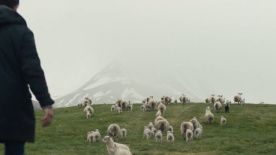 《羊·崽》发布国际版先导预告