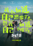 野馬分鬃