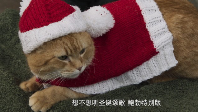 《流浪猫鲍勃2：鲍勃的礼物》定档预告