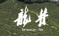 電影《龍井》發(fā)布定檔預告