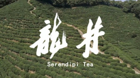 電影《龍井》發(fā)布定檔預(yù)告