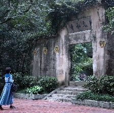 龍井
