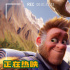 最萌合家歡！《我的爸爸是森林之王2》曝片段
