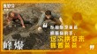 《峰爆》曝父子特輯 朱一龍黃志忠攜手救援默契足