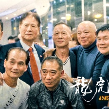 龍虎武師
