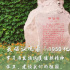 《1950他们正年轻》发布倡议视频 黄晓明万茜力荐