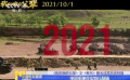 《我和我的父辈》之《乘风》 电影重现真实骑兵战场